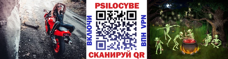 Купить закладки  Новодвинск  Галлюциногенные грибы GOLDEN TEACHER 