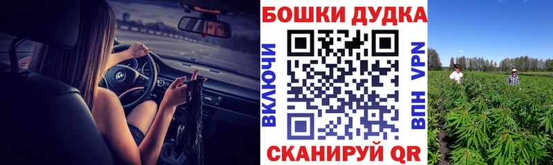 Купить закладки  Новодвинск  МАРИХУАНА конопля 